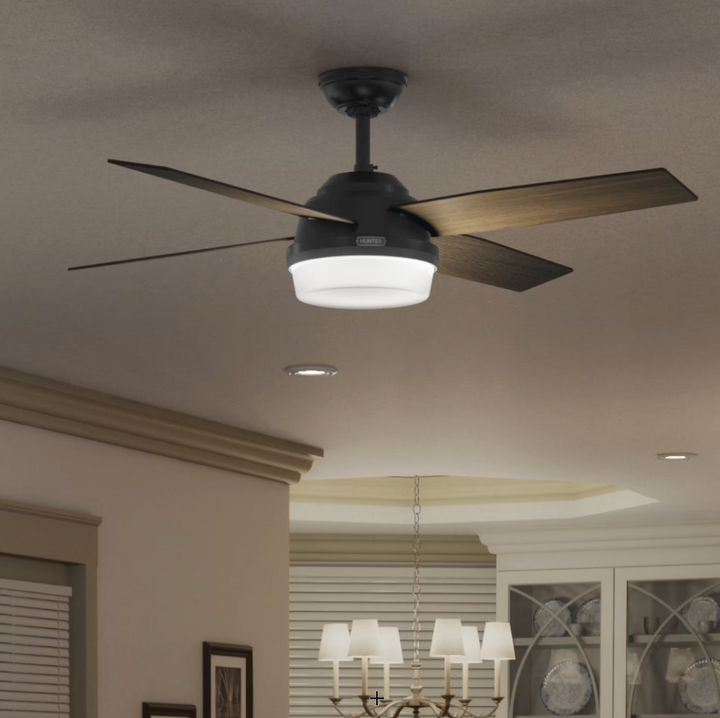 Hunter Fan Dempsey 52" Indoor/Outdoor Ceiling Fan with 18W LED and Remote