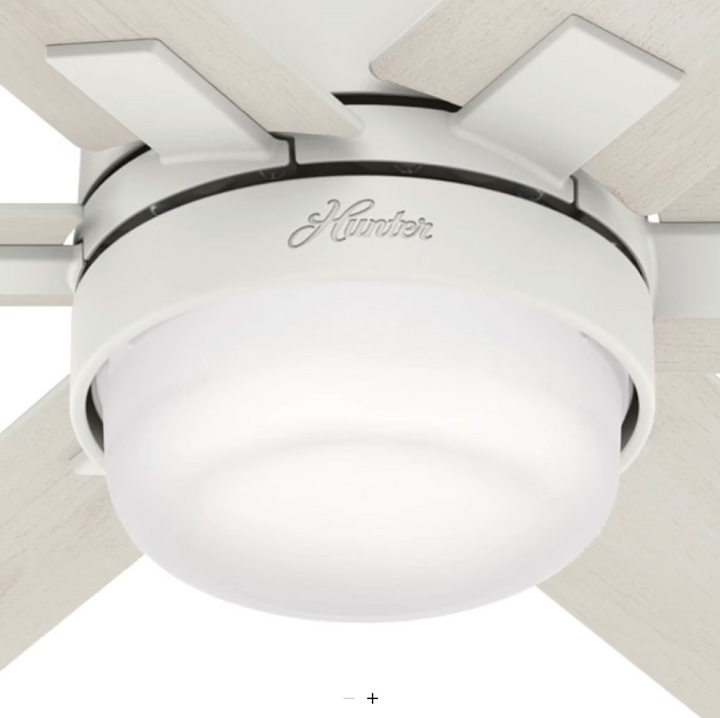 Hunter Fan Radeon Smart Indoor Ceiling Fan with 14W LED and Wall Control