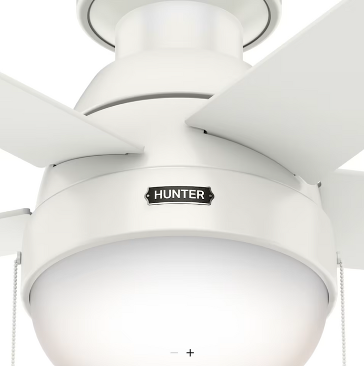 Hunter Fan Anslee 46" Flushmount Pull Chain Ceiling Fan with 18W LED