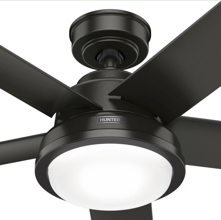 Hunter Fan Seawall 52" Outdoor Ceiling Fan with 20W LED with Wall Control