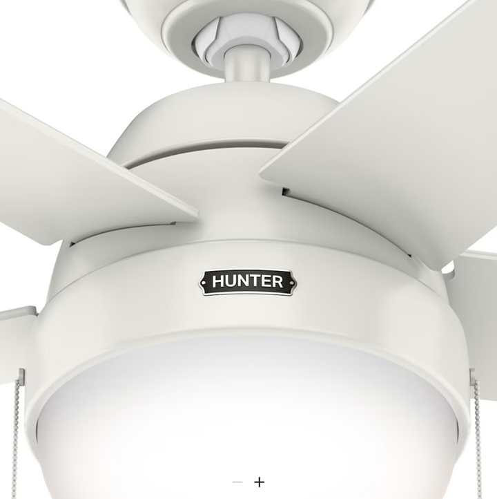 Hunter Fan Anslee Pull Chain Ceiling Fan with 18W LED