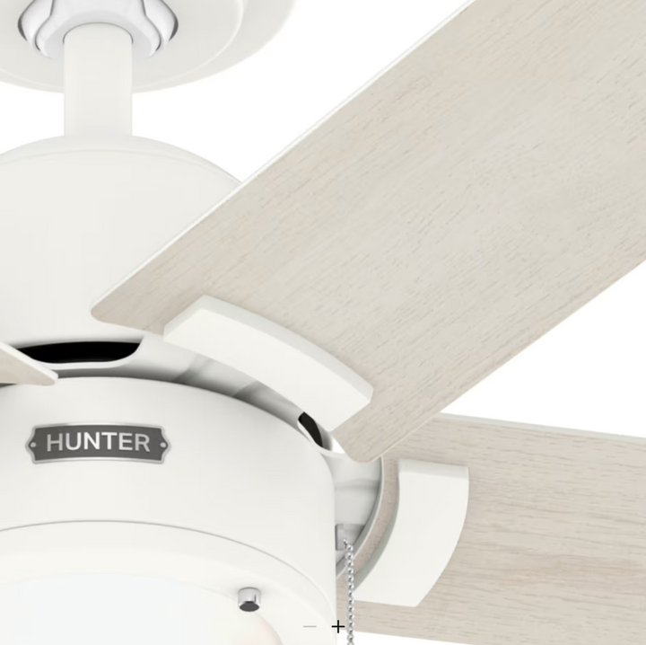 Hunter Fan Erling Pull Chain Ceiling Fan with 18W LED