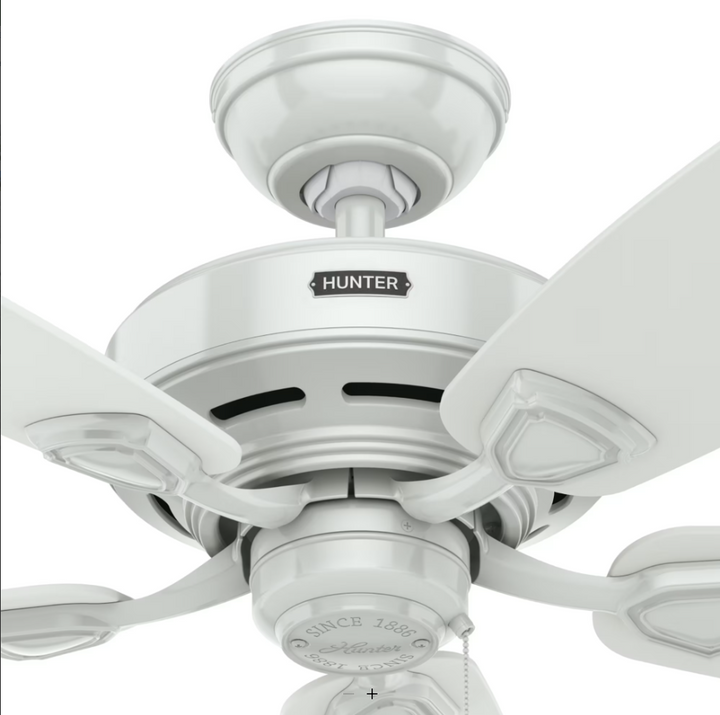 Hunter Fan Sea Wind 48" Outdoor Pull Chain Ceiling Fan