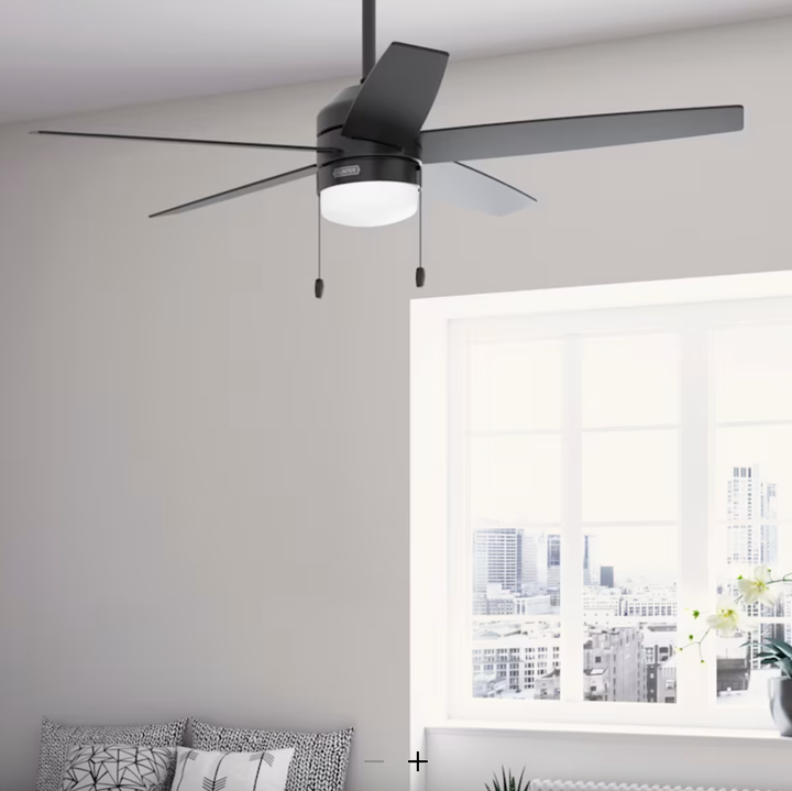 Hunter Fan Bardot Pull Chain Ceiling Fan with 14W LED