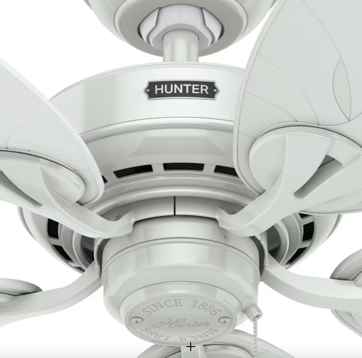 Hunter Fan Bayview 54" Outdoor Pull Chain Ceiling Fan