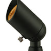 Accent Spot Light LED Landscape Spot in Bronze