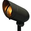 Accent Spot Light LED Landscape Spot in Bronze