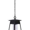 Becca One Light Outdoor Pendant in Textured Black