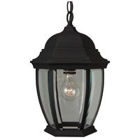 Bent Glass Cast One Light Pendant in Textured Black