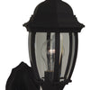 Bent Glass Cast One Light Wall Mount in Textured Black