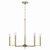 Capital Lighting Five Light Chandelier
