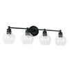 Capital Lighting Four Light Vanity