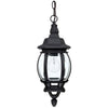 Capital Lighting One Light Outdoor Hanging Lantern