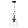 Capital Lighting One Light Pendant