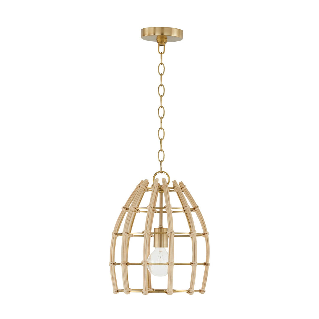 Capital Lighting One Light Pendant