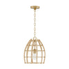 Capital Lighting One Light Pendant