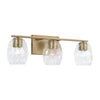 Capital Lighting Three Light Vanity