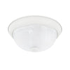 Capital Lighting Two Light Flush Mount
