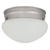 Capital Lighting Two Light Flush Mount