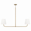 Capital Lighting Two Light Island Pendant