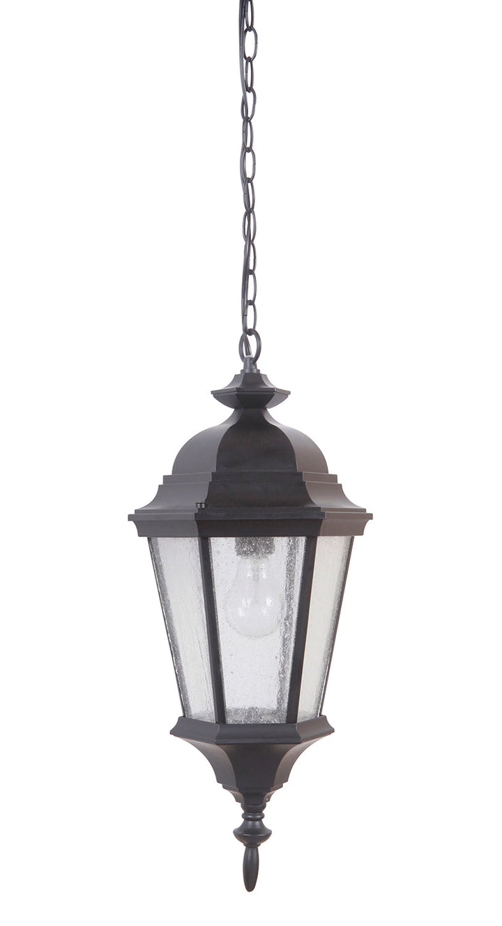 Chadwick One Light Pendant in Midnight