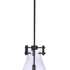 Chardonnay One Light Mini Pendant in Flat Black
