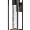 Coen LED Wall Mount in Black