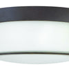 Colbin LED Flush Mount in Oil Rubbed Bronze