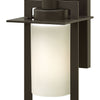Colfax LED Wall Mount in Bronze