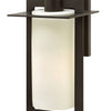 Colfax LED Wall Mount in Bronze