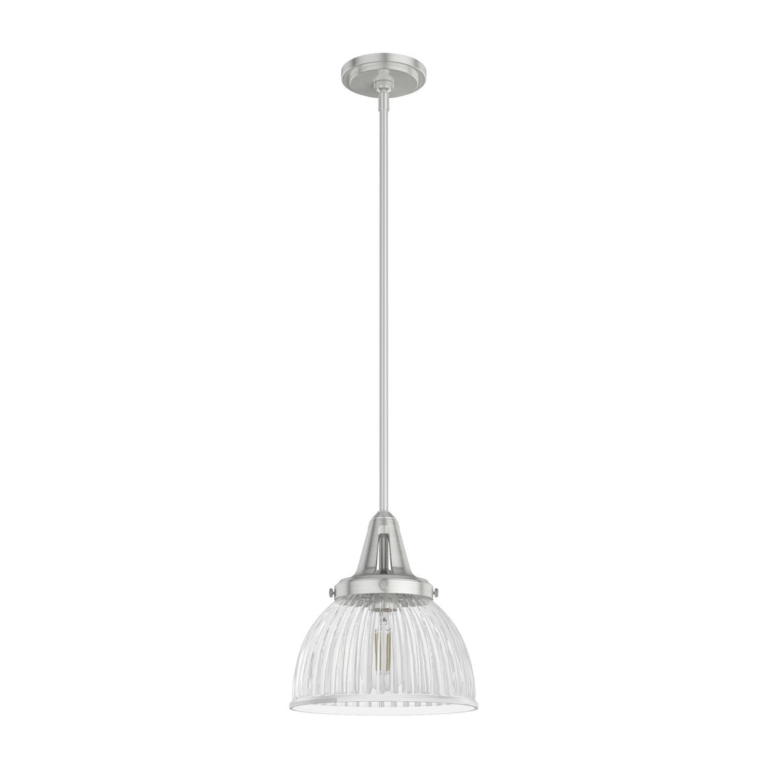 Cypress Grove One Light Pendant in Brushed Nickel