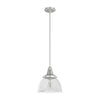 Cypress Grove One Light Pendant in Brushed Nickel