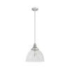 Cypress Grove One Light Pendant in Brushed Nickel