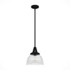 Cypress Grove One Light Pendant in Natural Black Iron