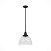 Cypress Grove One Light Pendant in Natural Black Iron