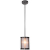 Danbury One Light Mini Pendant in Matte Black