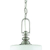 Dardyn One Light Mini Pendant in Brushed Polished Nickel