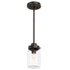 Devon Park One Light Mini Pendant in Onyx Bengal