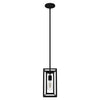 Doherty One Light Mini Pendant in Natural Black Iron