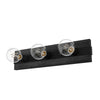 Donelson Three Light Vanity in Natural Black Iron