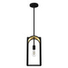 Dukestown One Light Mini Pendant in Natural Black Iron