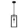 Dukestown One Light Mini Pendant in Natural Black Iron