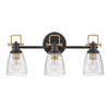 Easton LED Vanity in Black
