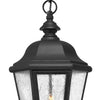 Edgewater LED Hanging Lantern in Black