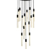 Elegant Lighting 16 Light Pendant