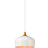 Elegant Lighting One Light Pendant