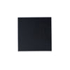 ET2 LED Outdoor Wall Sconce