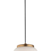 ET2 LED Pendant