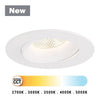 Eurofase LED Gimbal