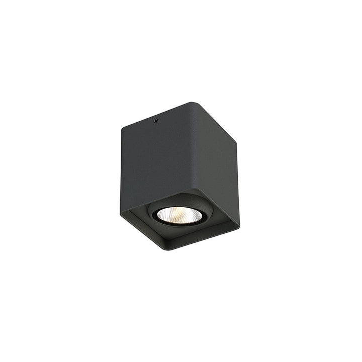 Eurofase LED Outdoor Wall Mount